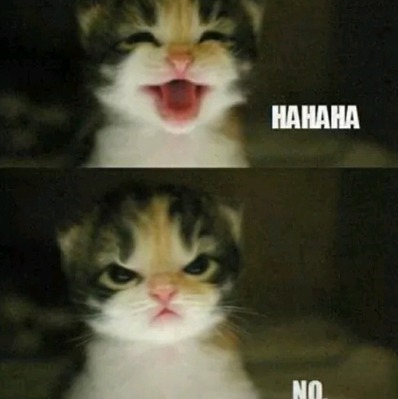 Meet your Posher, Cg - Picture 1 of 1